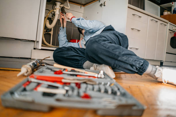Best Local Plumber Services  in Lake Lotawana, MO