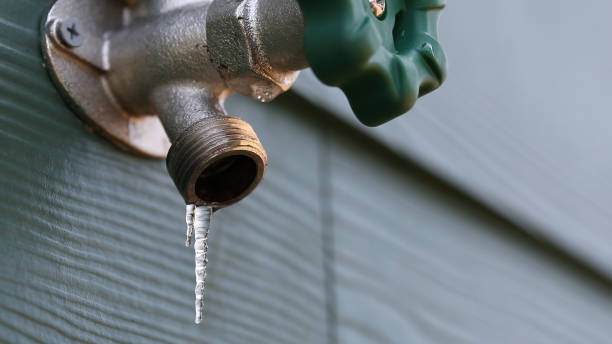 Best Plumbing Services Near Me  in Lake Lotawana, MO